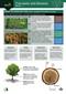 Tree pests and diseases WCA3 (Identification Chart)