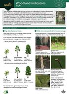 Woodland indicators WCA4 (Identification Chart)