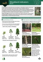 Woodland indicators: WCA4 (Identification Chart)