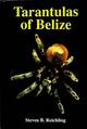 Tarantulas of Belize