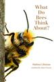 What Do Bees Think About?