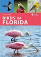 Birds of Florida