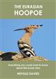 The Eurasian Hoopoe: Everything you could want to know about this iconic bird