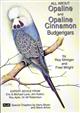 All About Opaline and Opaline Cinnamon Budgerigars