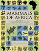 Mammals of Africa: Volume IV: Hedgehogs, Shrews and Bats