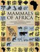 Mammals of Africa: Volume V: Carnivores, Pangolins, Equids and Rhinoceroses