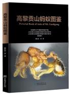  Pictorial Book of Ants of Mt. Gaoligong| 高黎贡山蚂蚁图鉴