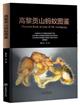  Pictorial Book of Ants of Mt. Gaoligong| 高黎贡山蚂蚁图鉴