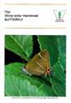 The White-letter Hairstreak Butterfly
