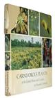 Carnivorous Plants of the United States and Canada