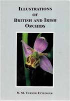 Notes on British and Irish Orchids [with] Illustrations of British and Irish Orchids