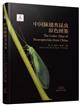 The Color Atlas of Neuropterida from China |中国脉翅类昆虫原色图鉴