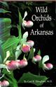 Wild Orchids of Arkansas