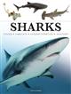Sharks: