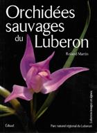 Orchidées sauvages du Luberon