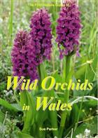 The First Nature Guide to Wild Orchids in Wales