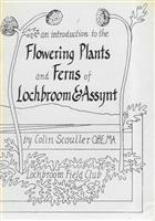 An Introduction to the Flowering Plants and Ferns of Lochbroom and Assynt