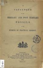 A Catalogue of the Tertiary and Post Tertiary Fossils in the Museum of Practical Geology