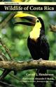 Field Guide to the Wildlife of Costa Rica
