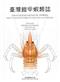 Crustacean Fauna of Taiwan: Squat Lobsters (Chirostylidae and Galatheidae)