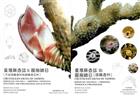 Crustacean Fauna of Taiwan: Barnacles Vol. I-II