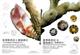 Crustacean Fauna of Taiwan: Barnacles Vol. I-II