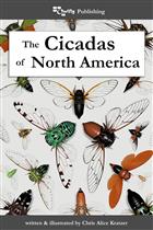 The Cicadas of North America