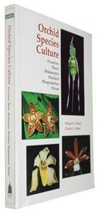 Orchid Species Culture: Pescatorea, Phaius, Phalaenopsis, Pholidota, Phragmipedium, Pleione