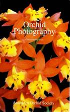 Orchid Photography