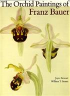 The Orchid Paintings of Franz Bauer