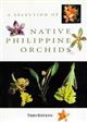 A Selection of Native Philippine Orchids
