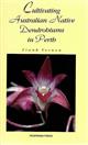 Cultivating Australian Native Dendrobiums in Perth