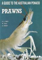 A Guide to the Australian Penaeid Prawns
