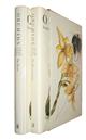 Orchids from the Botanical Register 1815-1847