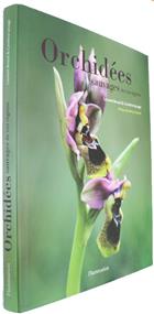 Orchidées sauvages de nos régions