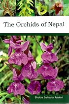 The Orchids of Nepal
