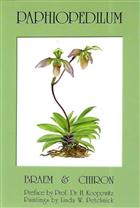 Paphiopedilum