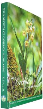 Wild Orchids of Cameron Highlands