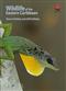 Wildlife of the Eastern Caribbean