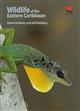 Wildlife of the Eastern Caribbean
