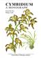 Cymbidium: A Monograph