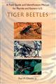 Field Guide and Identification Manual for Florida and Eastern US Tiger Beetles