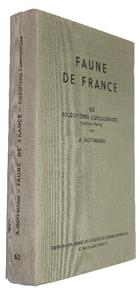 Coléoptères Curculionides. Pt 3 Faune de France 62