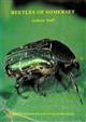 Beetles of Somerset: their status and distribution