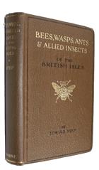 Bees, Wasps, Ants and Allied Insects of the British Isles