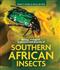 Biology, ecological importance and diversity of southern African insects