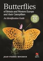 Butterflies of Britain and Western Europe and their Caterpillars: An Identification Guide
