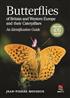 Butterflies of Britain and Western Europe and their Caterpillars: An Identification Guide