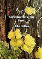 Myxomycetes of the Forest