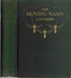 The Hunting Wasps